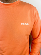 FELPA BERNA GIROCOLLO